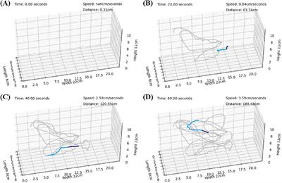 Exploring the use of deep learning models for accurate tracking of 3D zebrafish trajectories